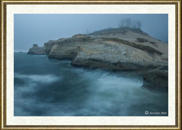 王岩_鸟岛 Pacific City